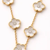 4A85AF07-9444-4AC6-9834-0D94748EB647